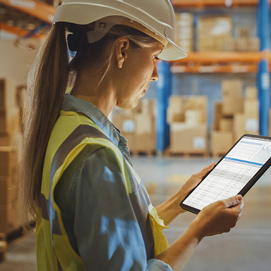 Controla contabilidad, flujos de efectivo, cuentas por pagar y cobrar, presupuestos, consolidación de estados financieros y auditorías desde una sola plataforma