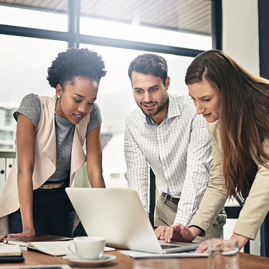 Gestión de proyectos integrada